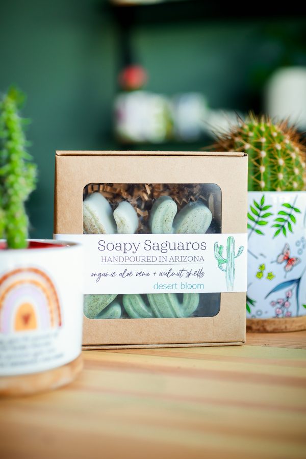 Soapy Saguaros