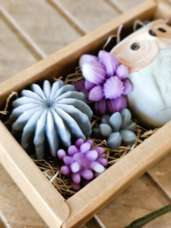 Succulent Owl Pot Set - Image 3