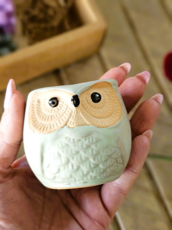 Succulent Owl Pot Set - Image 4