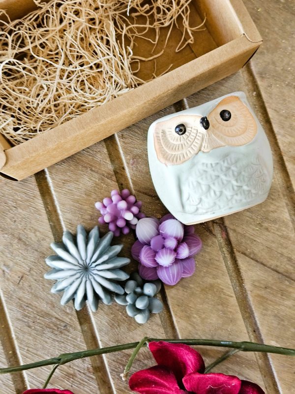 Succulent Owl Pot Set - Image 2