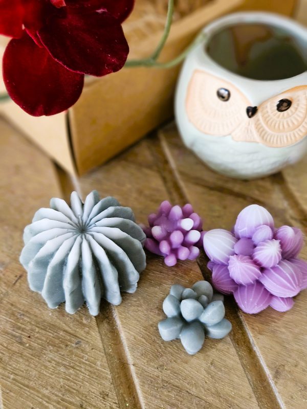 Succulent Owl Pot Set - Image 5