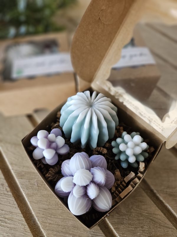 Mini Succulent Soap Garden