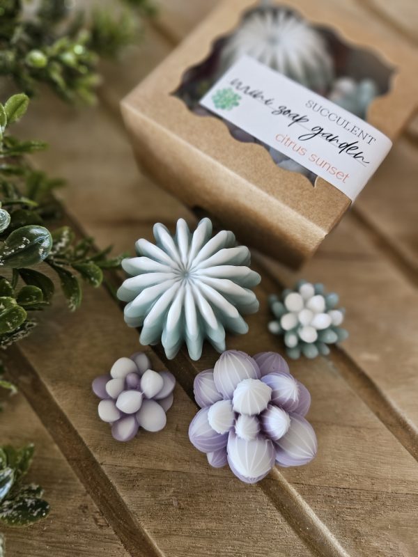 Mini Succulent Soap Garden - Image 5