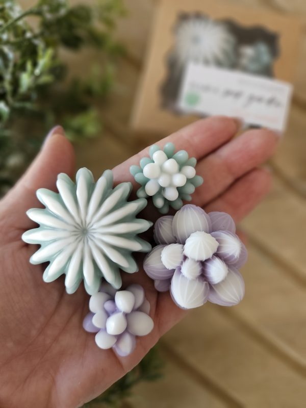 Mini Succulent Soap Garden - Image 3