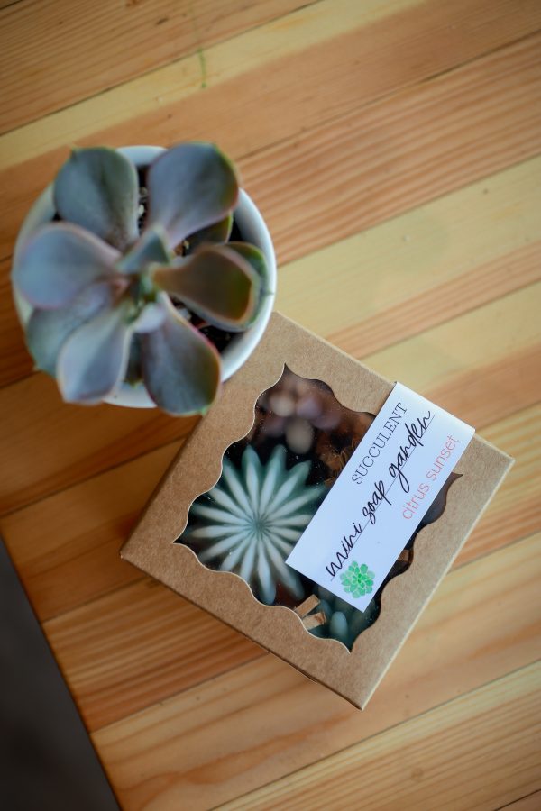 Mini Succulent Soap Garden - Image 4