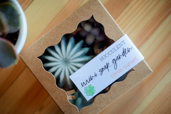 Mini Succulent Soap Garden - Image 2