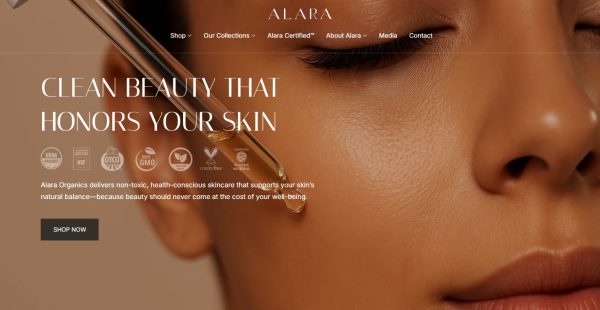 Alara Beauty - Invoice 007